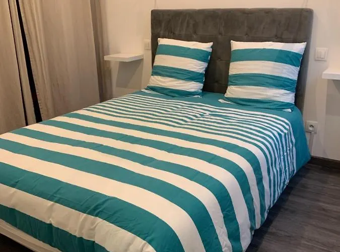 Appartement 2 Pieces Centre Ville Cannes